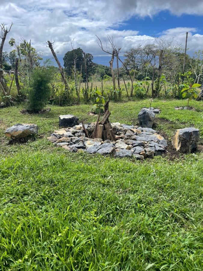 Glamping Campo Alegre Hotell Cartago Exteriör bild