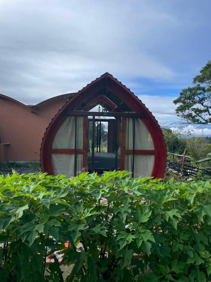 Glamping Campo Alegre Hotell Cartago Exteriör bild
