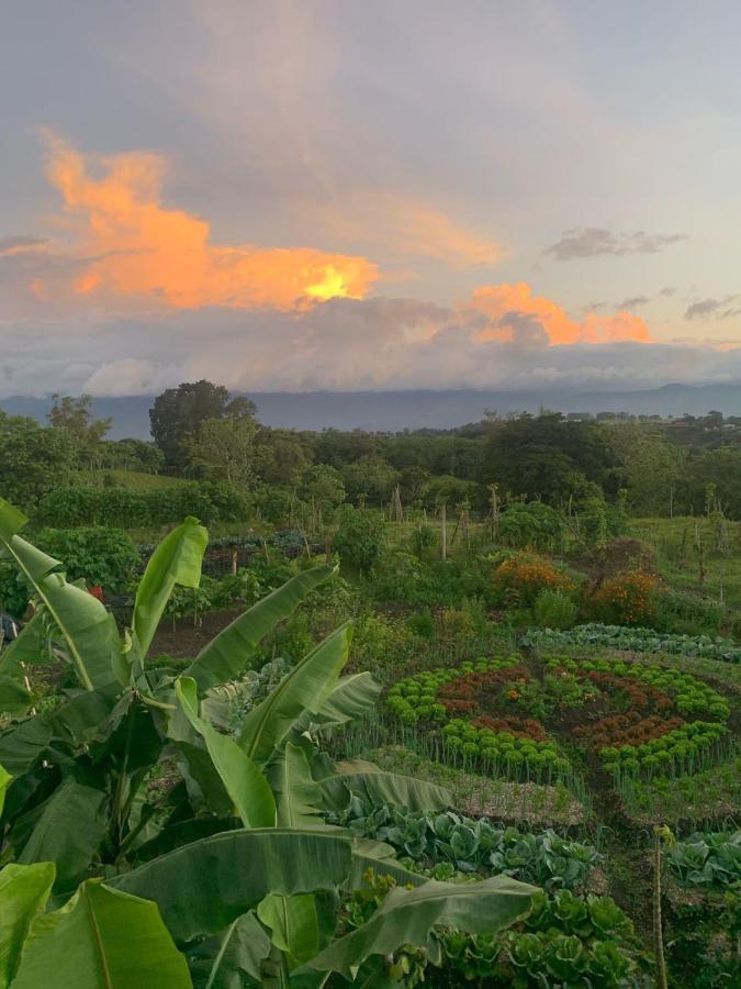 Glamping Campo Alegre Hotell Cartago Exteriör bild